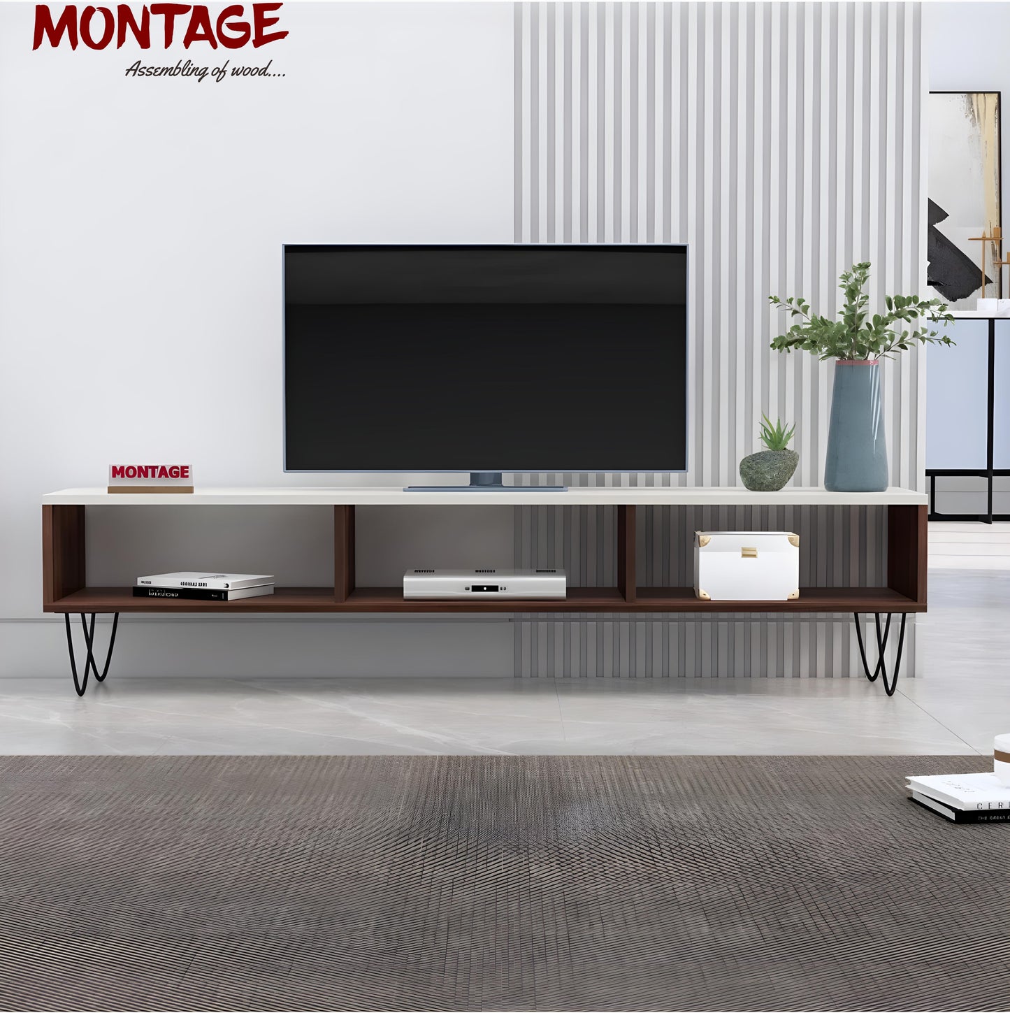 LED TV Cabinet 65 Inch with Open Storage TV Entertainment Unit